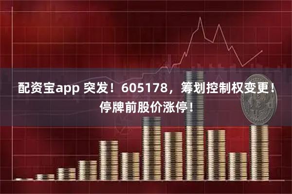 配资宝app 突发！605178，筹划控制权变更！停牌前股价涨停！