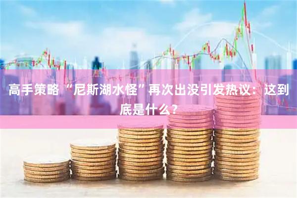 高手策略 “尼斯湖水怪”再次出没引发热议：这到底是什么？