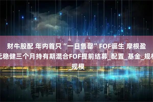 财牛股配 年内首只“一日售罄”FOF诞生 摩根盈元稳健三个月持有期混合FOF提前结募_配置_基金_规模
